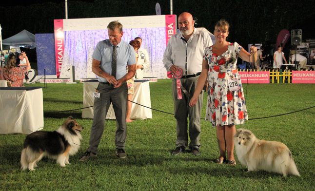 Croatian Kennel Club, 4 summer night shows, Split 30.07.2016