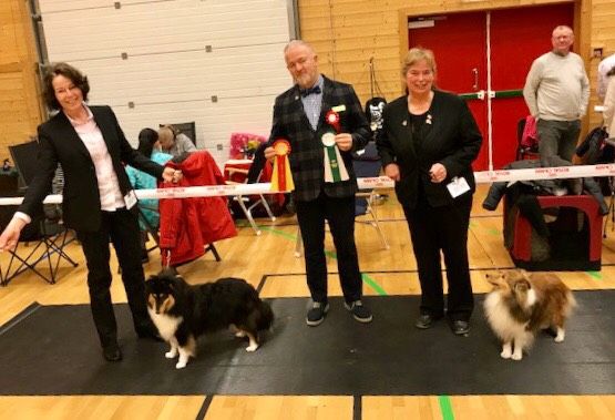 Nordhordaland Hundeklubb, Lindås 24.02.2018